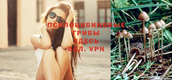 сатива Алексеевка