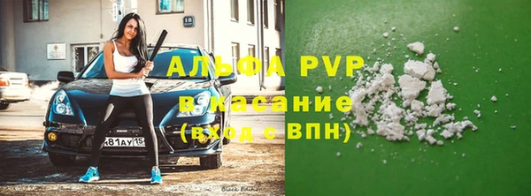 сатива Алексеевка