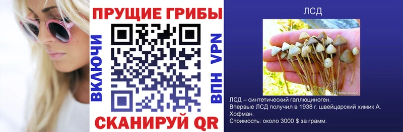 Галлюциногенные грибы Magic Shrooms  Асино 