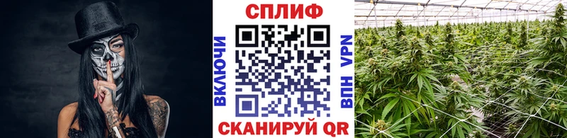 МАРИХУАНА семена  где купить наркоту  omg ТОР  Асино 